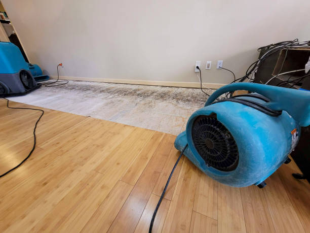 Professional Flood Damage Cleanup technician working in Refton, PA